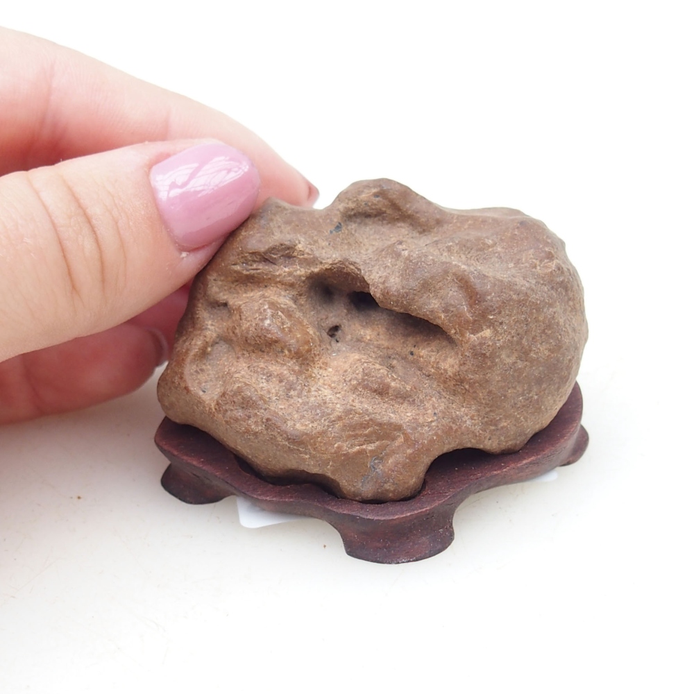 Suiseki - Kő DAI-val (fa alapon)