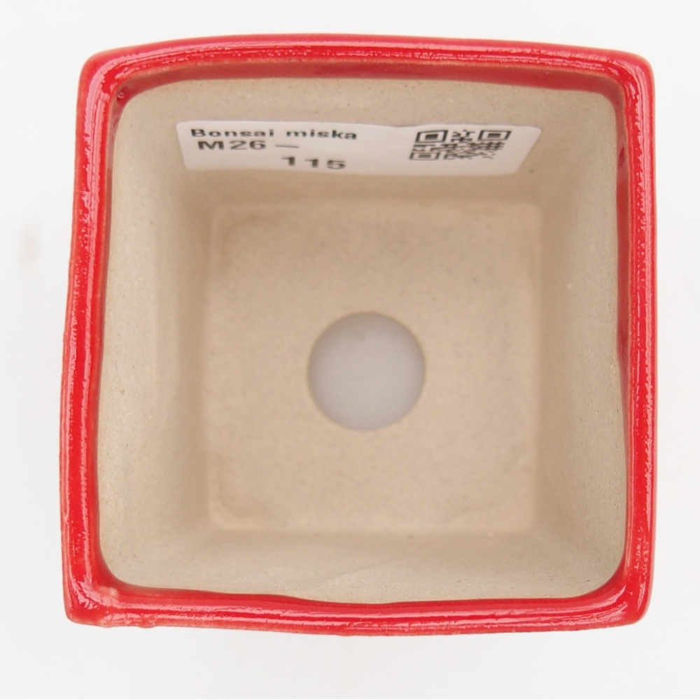 Mini bonsai tál 5,5 x 5,5 x 6,5 cm, piros színben