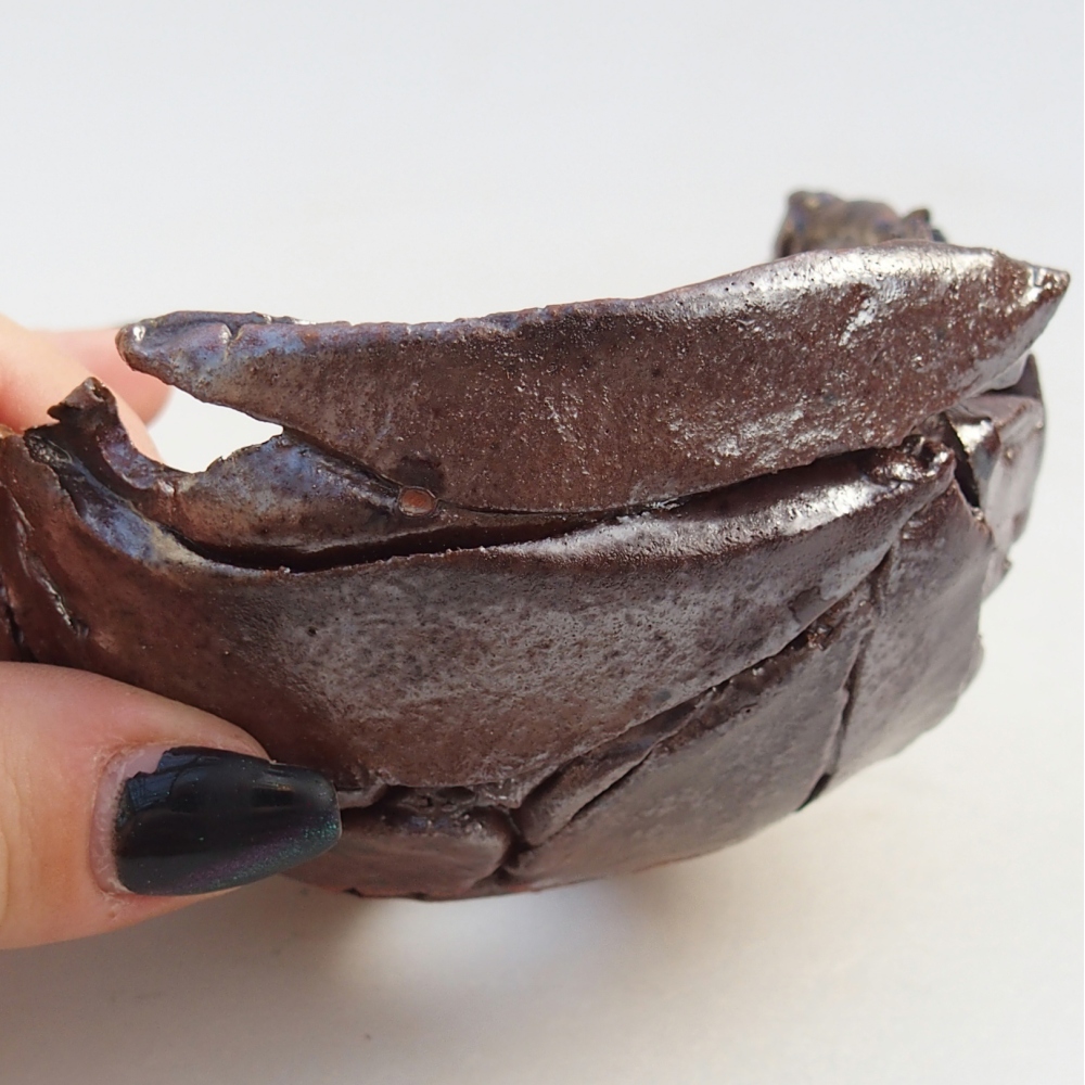 Kerámia kagyló 10 x 10 x 6 cm , barna színű