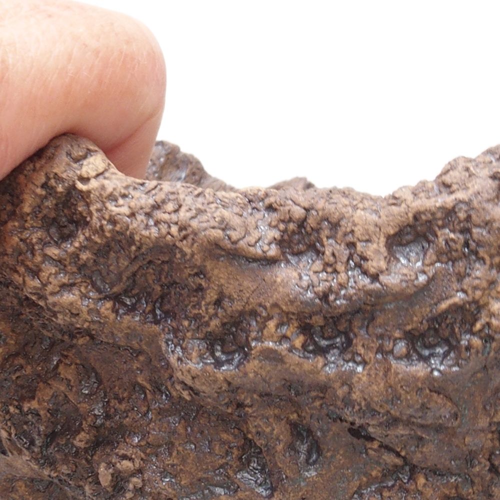 Kerámia kagyló 17,5 x 16 x 17,5 cm , színe barna