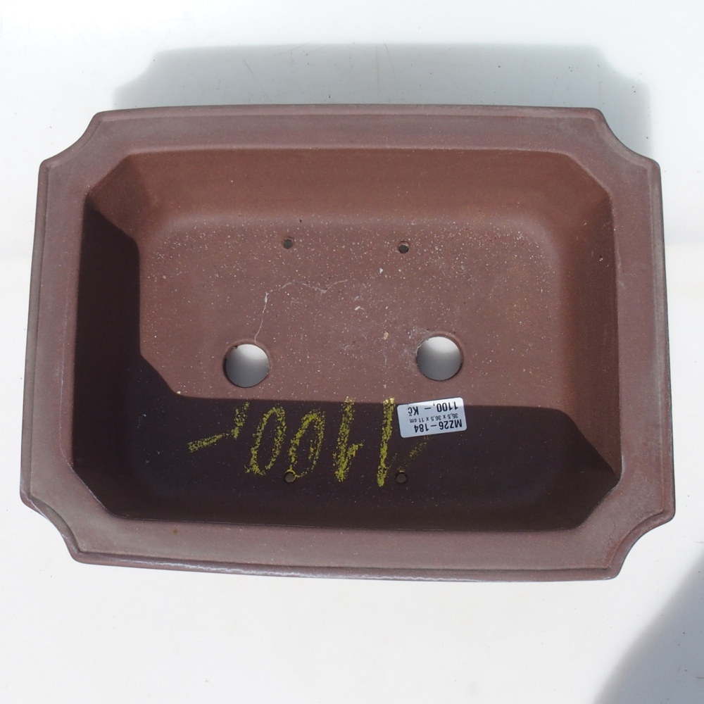 Bonsai tál 35,5 x 36,5 x 11 cm nyírfa barna