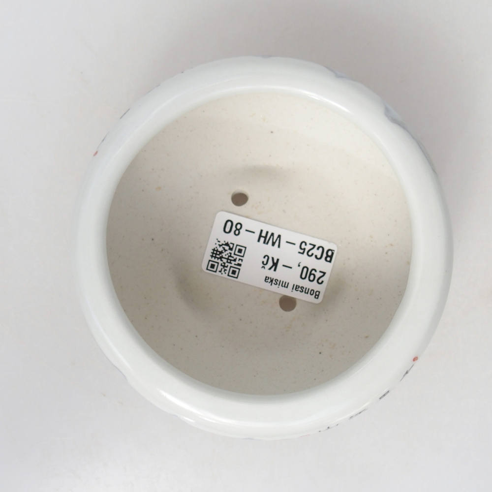 kerámia bonsai tál 10 x 10 x 5 cm, fehér színben