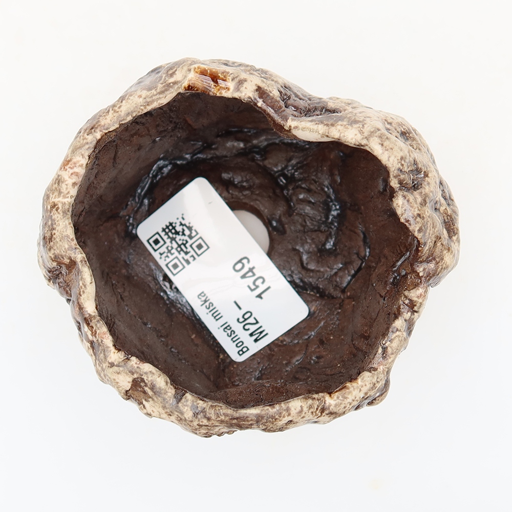 Kerámia héj  6,5 x 5,5 x 6 cm , barna-fehér színű