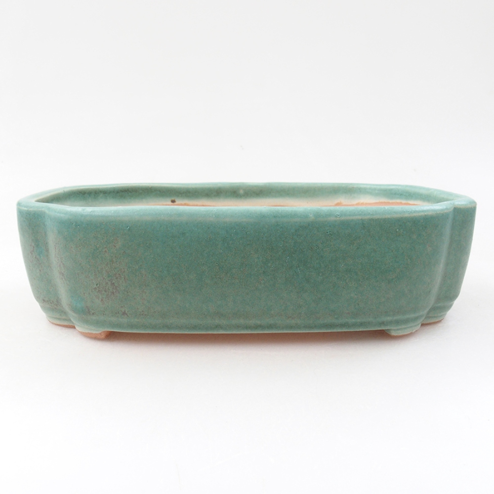 kerámia bonsai tál 18 x 13 x 5 cm, zöld