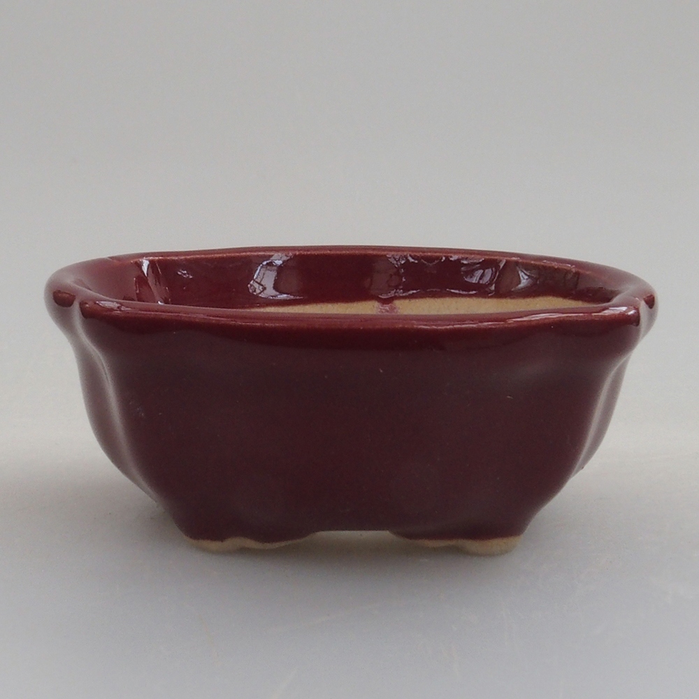 Mini bonsai tál 6 x 6 x 2,5 cm, bordó színű