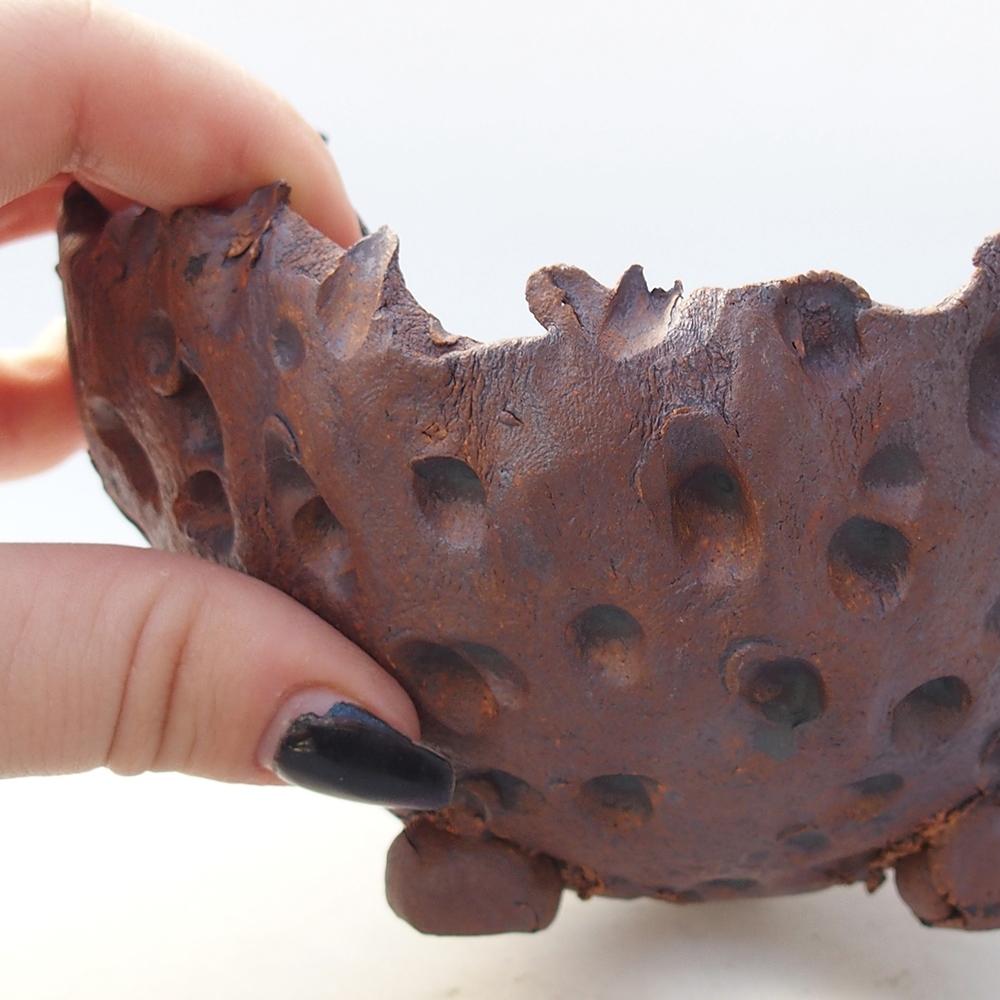 Kerámia kagyló 13 x 12,5 x 8,5 cm , színe barna