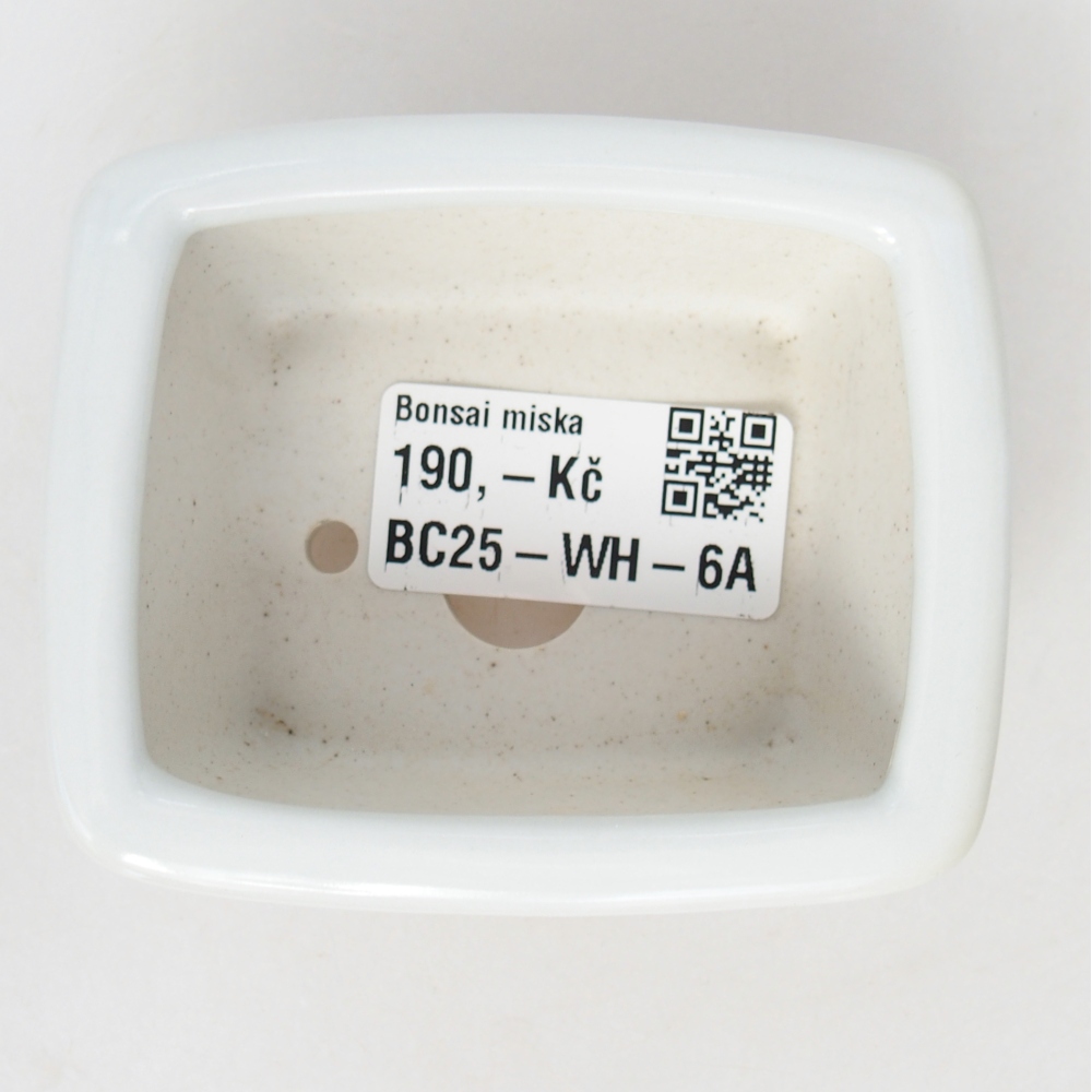 Mini bonsai tál 8 x 6,5 x 3,5 cm, fehér