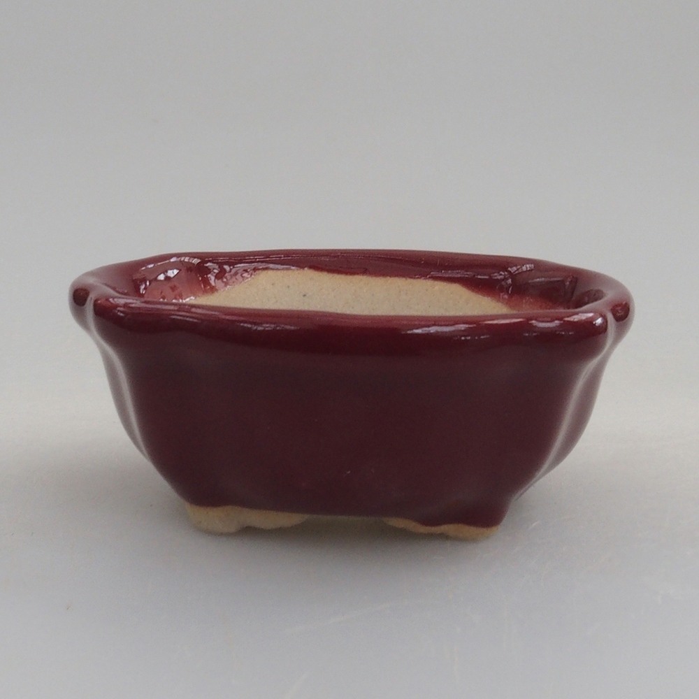 Mini bonsai tál 6 x 6 x 2,5 cm, bordó színű