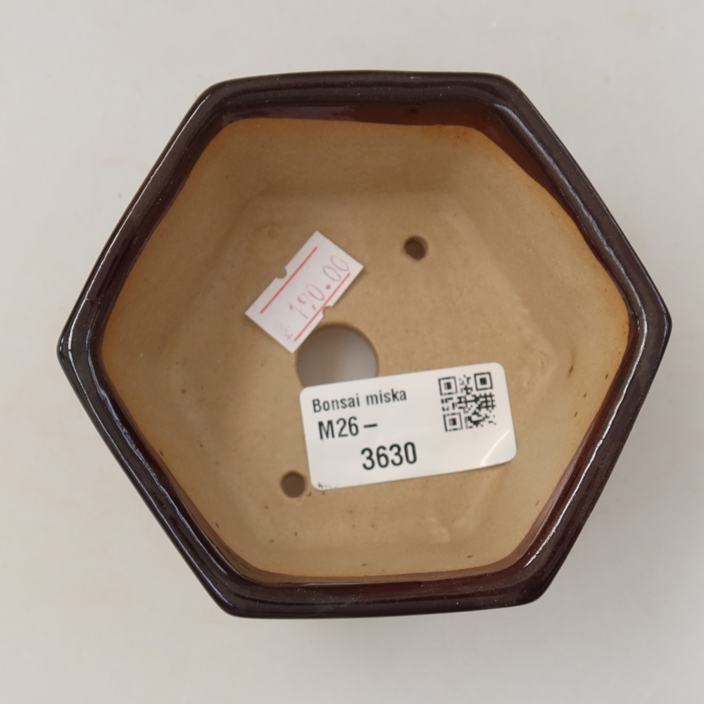 kerámia bonsai tál 10 x 9 x 5 cm, barna