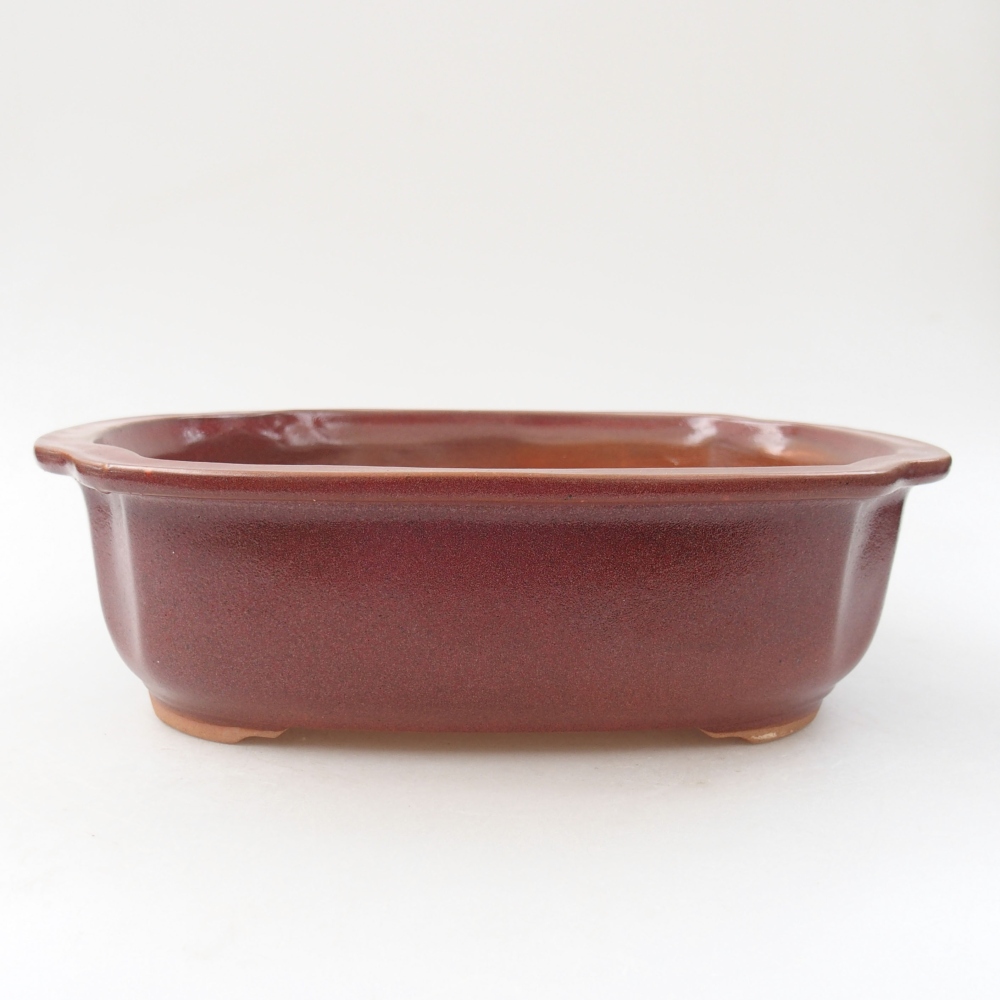 kerámia bonsai tál 24,5 x 21 x 7 cm, bordó színben