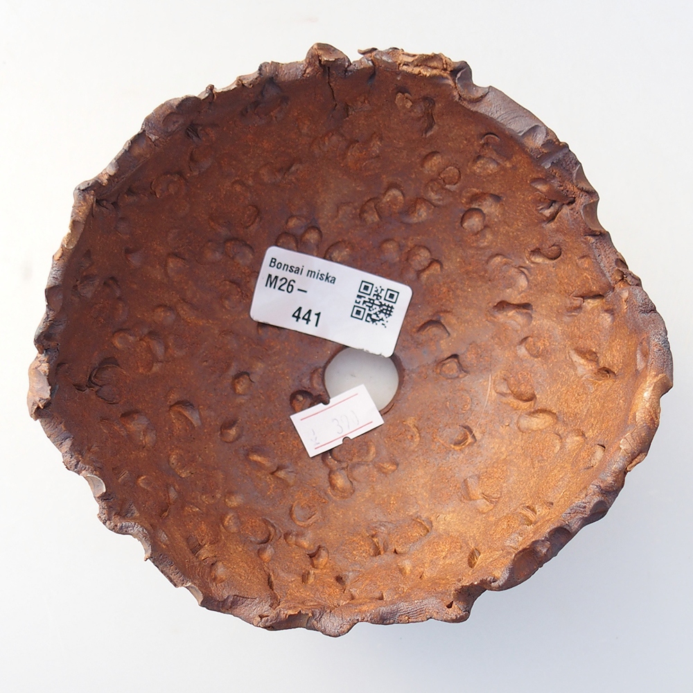 Kerámia kagyló 13 x 12,5 x 8,5 cm , színe barna