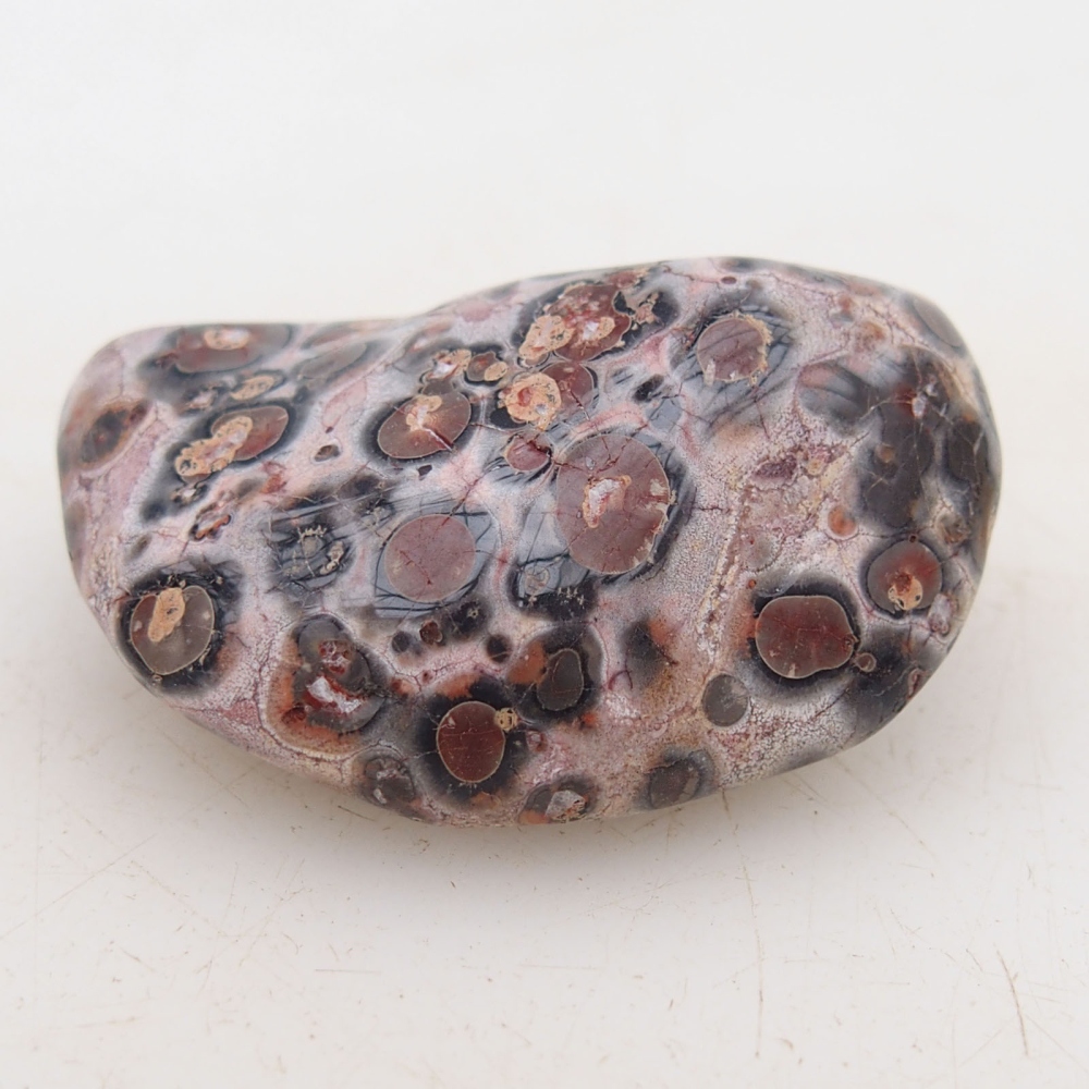 Suiseki - Kő DAI-val (fa alapon)