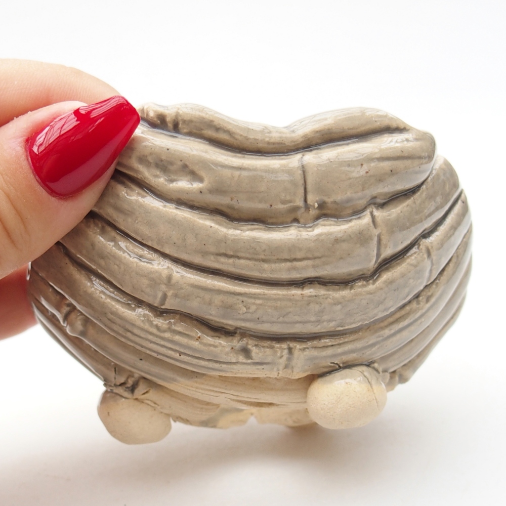 Kerámia kagyló 8,5 x 8,5 x 6 cm , bézs színű