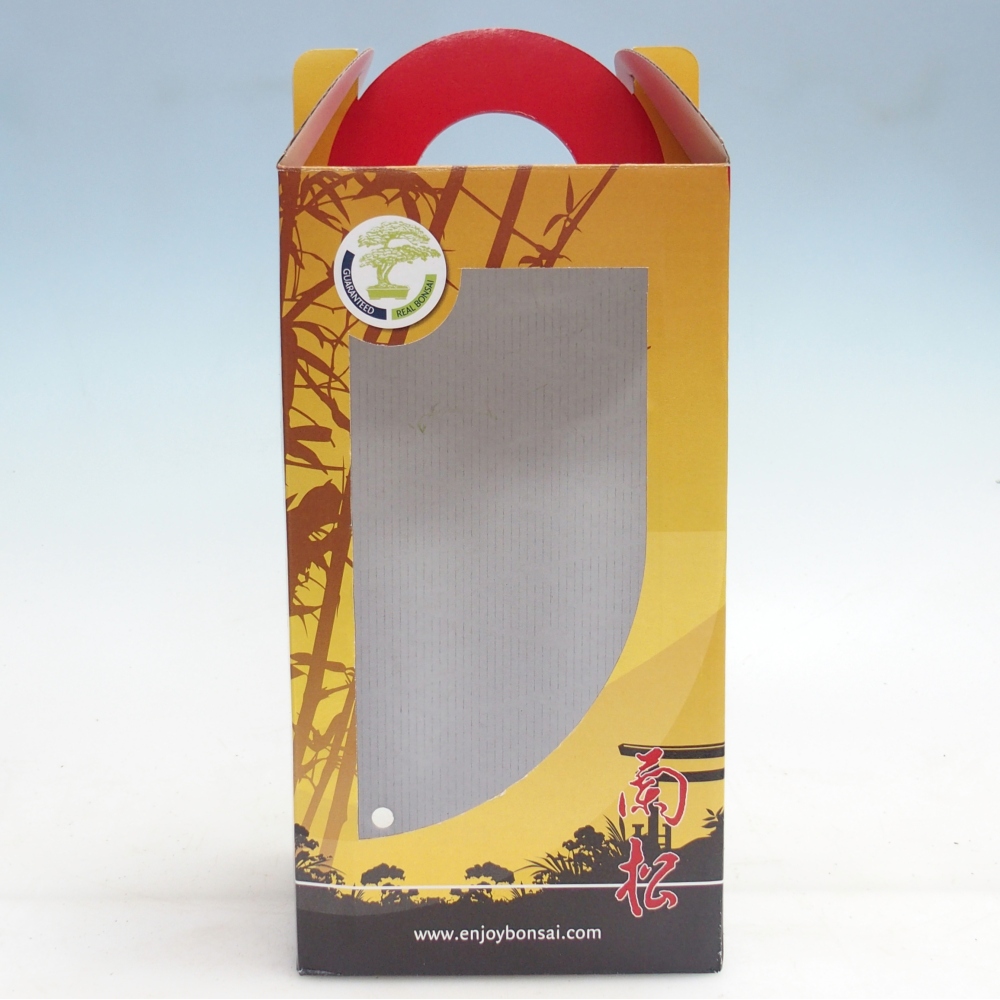 Ajándék bonsai doboz - papír
