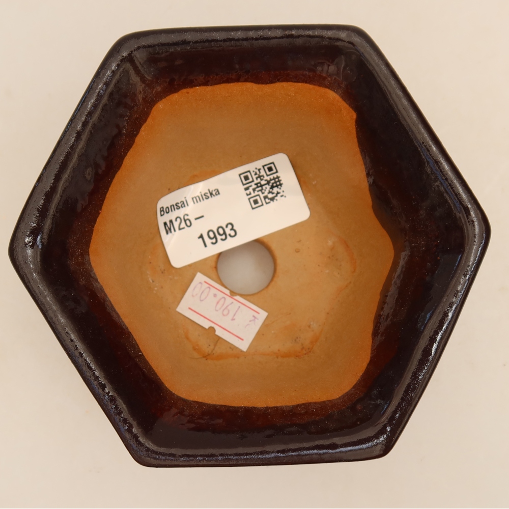 Kerámia bonsai-tál, 10,5 x 9,5 x 5,5 cm, fekete színű