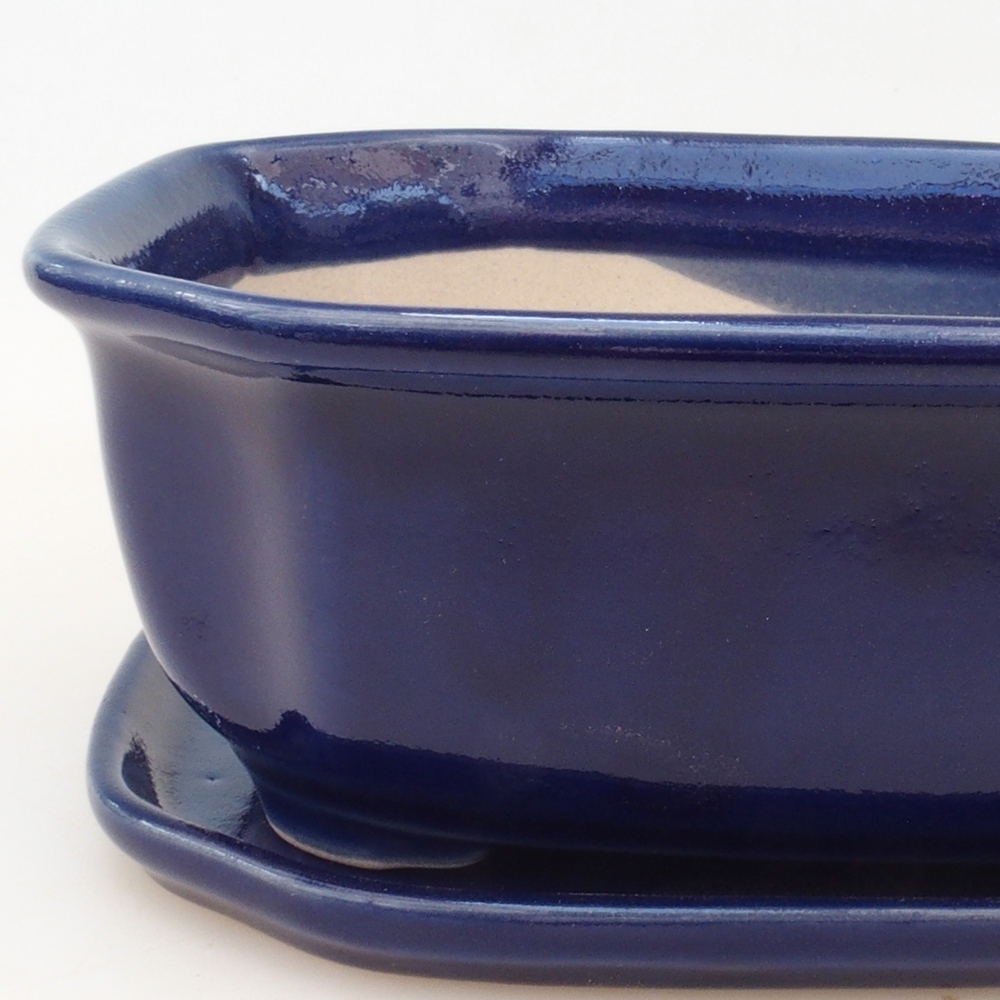 Bonsai tál + csészealj H31 - kék