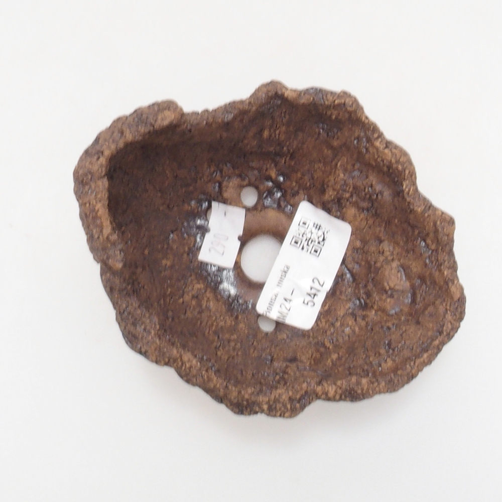 Kerámia kagyló 9 x 8 x 8,5 cm , barna színű