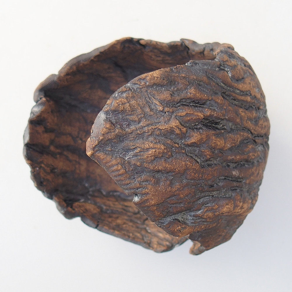 Kerámia kagyló 9,5 x 9 x 12 cm , barna színű