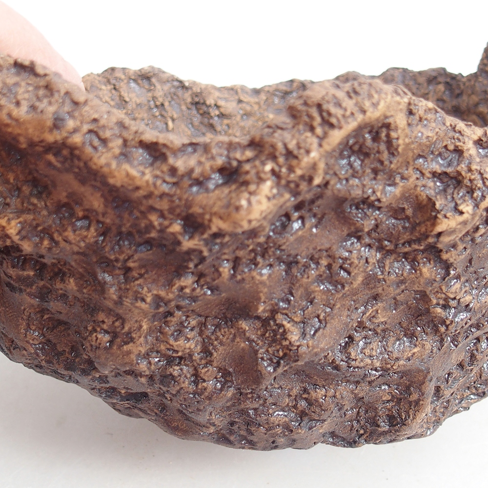 Kerámia kagyló 19 x 15 x 14 cm , barna színű