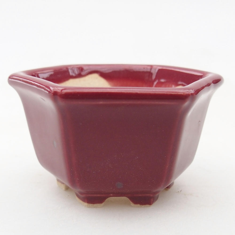 Mini bonsai tál 5 x 4,5 x 3 cm, bordó színű