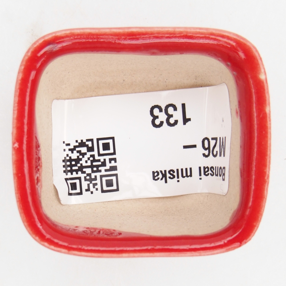 Mini bonsai tál 4 x 3,5 x 2,5 cm, piros színben