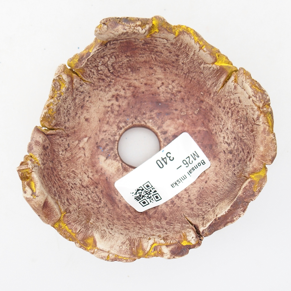 Kerámia kagyló 9 x 9 x 5,5 cm , sárga