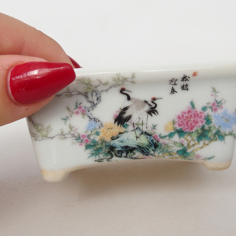 Mini bonsai tál 8 x 6,5 x 3,5 cm, fehér