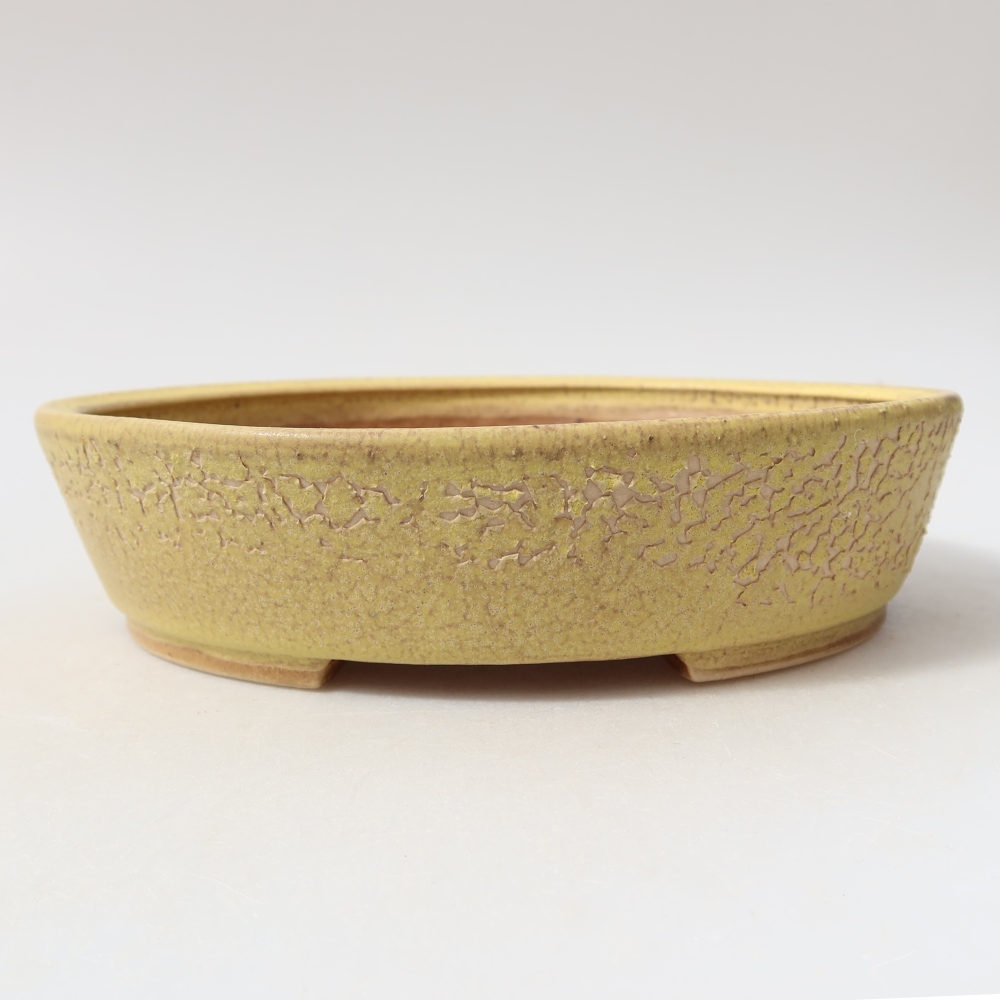 Kerámia bonsai-tál, 18,5 x 16,5 x 4,5 cm, sárga színű