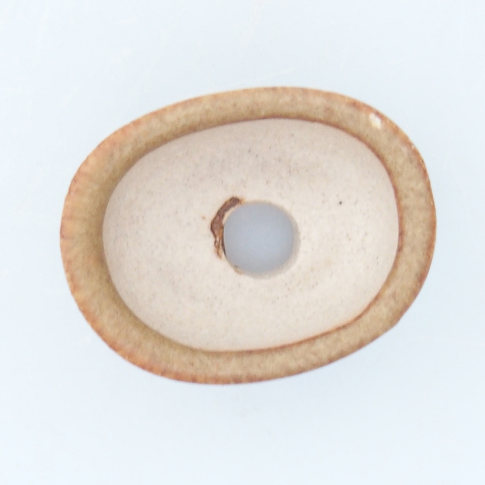 Mini bonsai tál 2,5 x 2 x 1,5 cm, barna