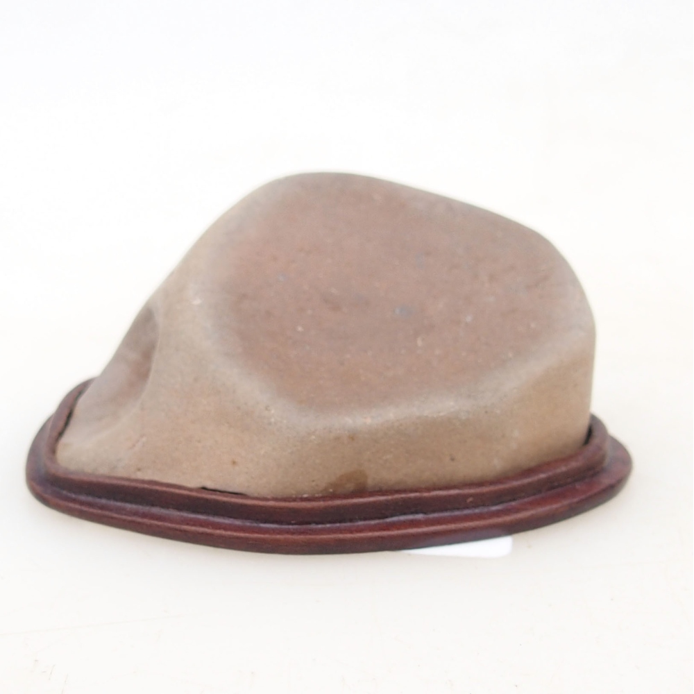 Suiseki - Kő DAI-val (fa alapon)