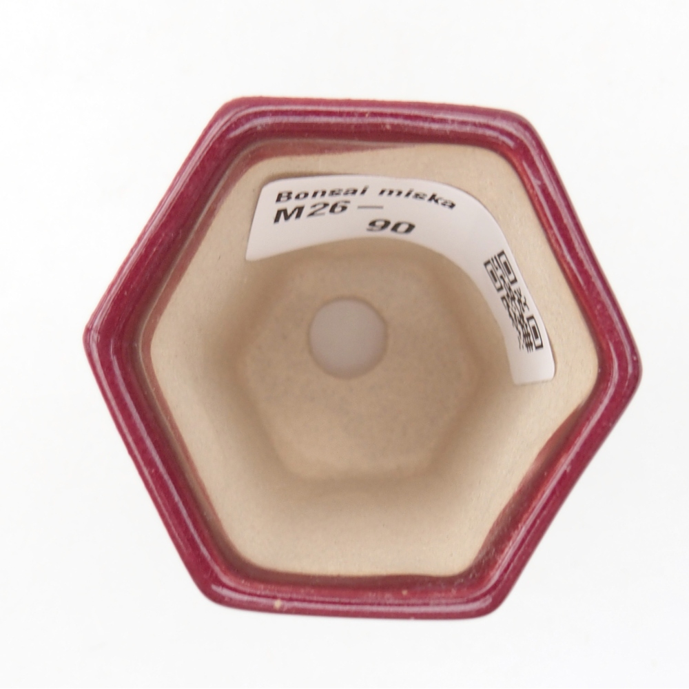 Mini bonsai tál 5 x 4,5 x 6,5 cm, bordó színben