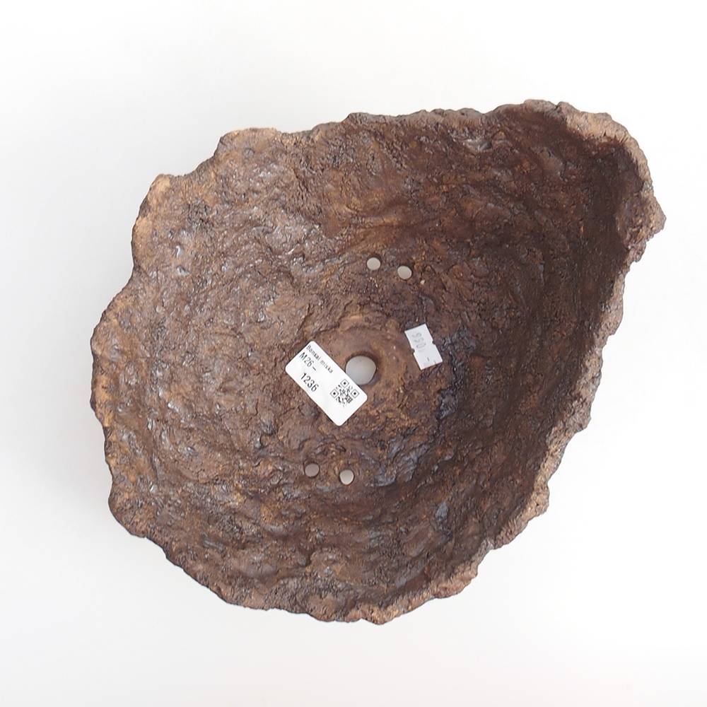 Kerámia kagyló 19 x 15 x 14 cm , barna színű