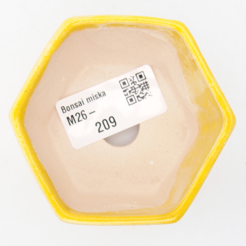Mini bonsai tál 7 x 6,5 x 4,5 cm, sárga