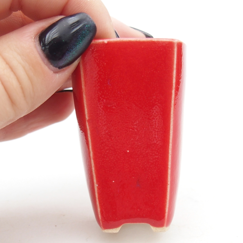 Mini bonsai tál 3,5 x 3 x 5,5 cm, piros színben