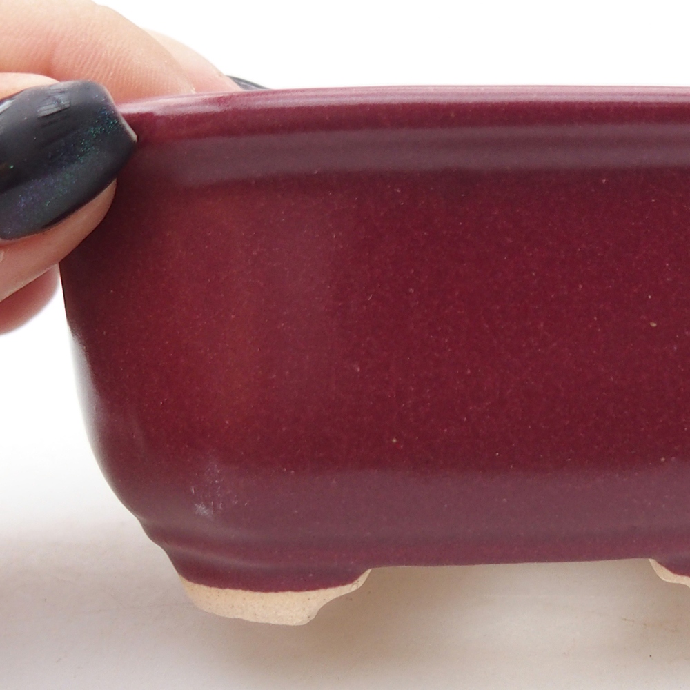 Mini bonsai tál 9 x 7 x 4,5 cm, bordó színű