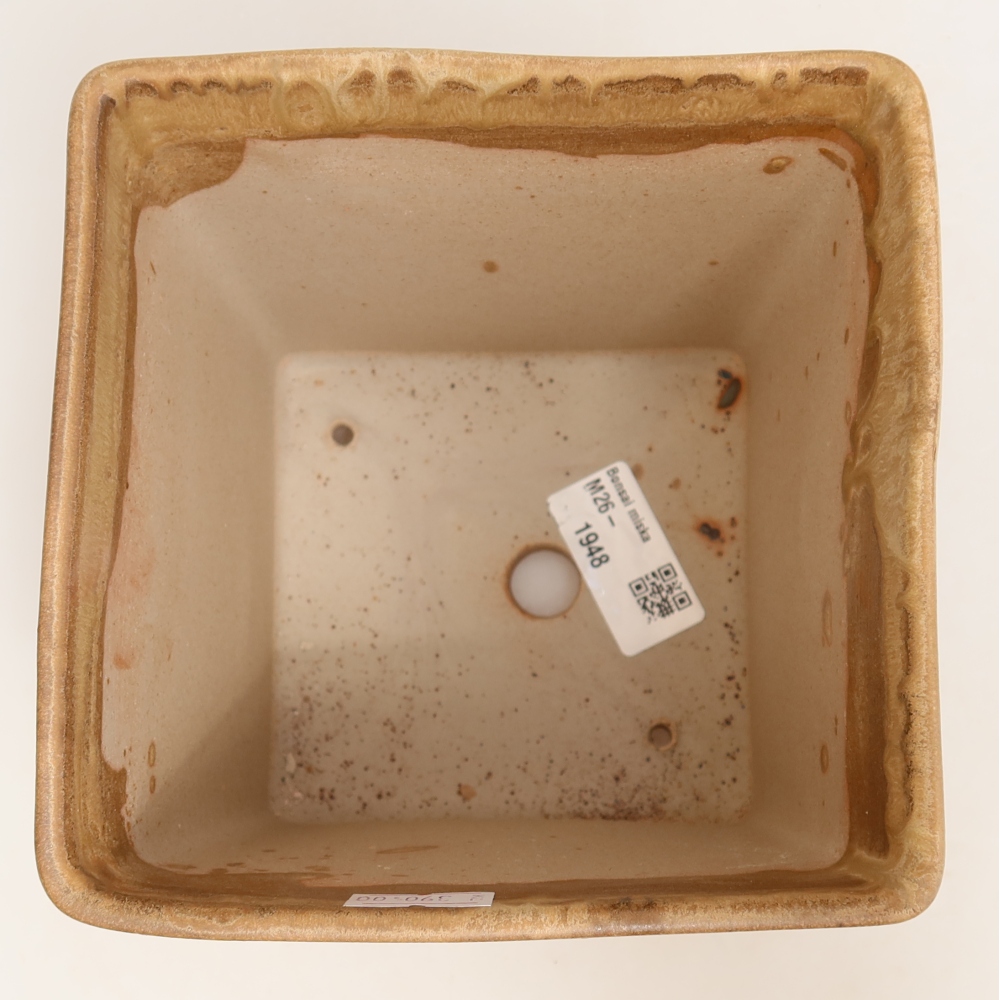 kerámia bonsai tál 13 x 13 x 13,5 cm, bézs színben
