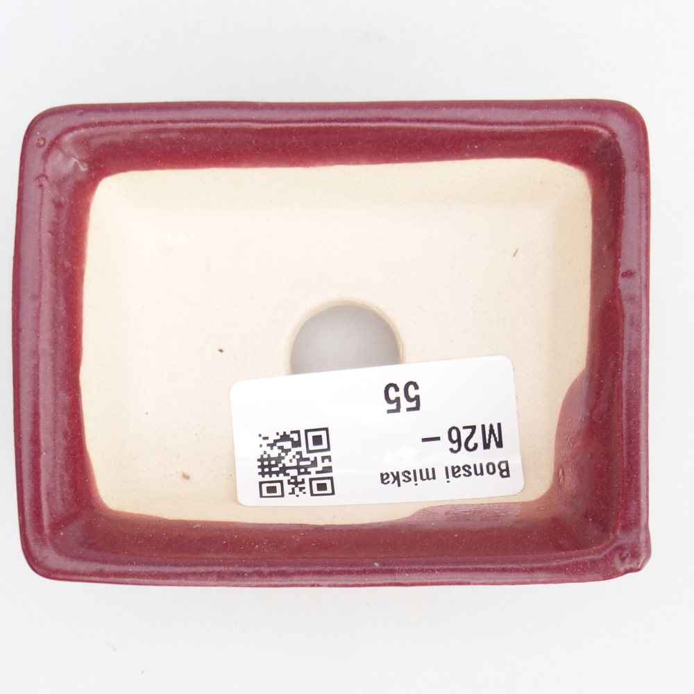 Mini bonsai tál 8 x 6 x 2,5 cm, bordó színű