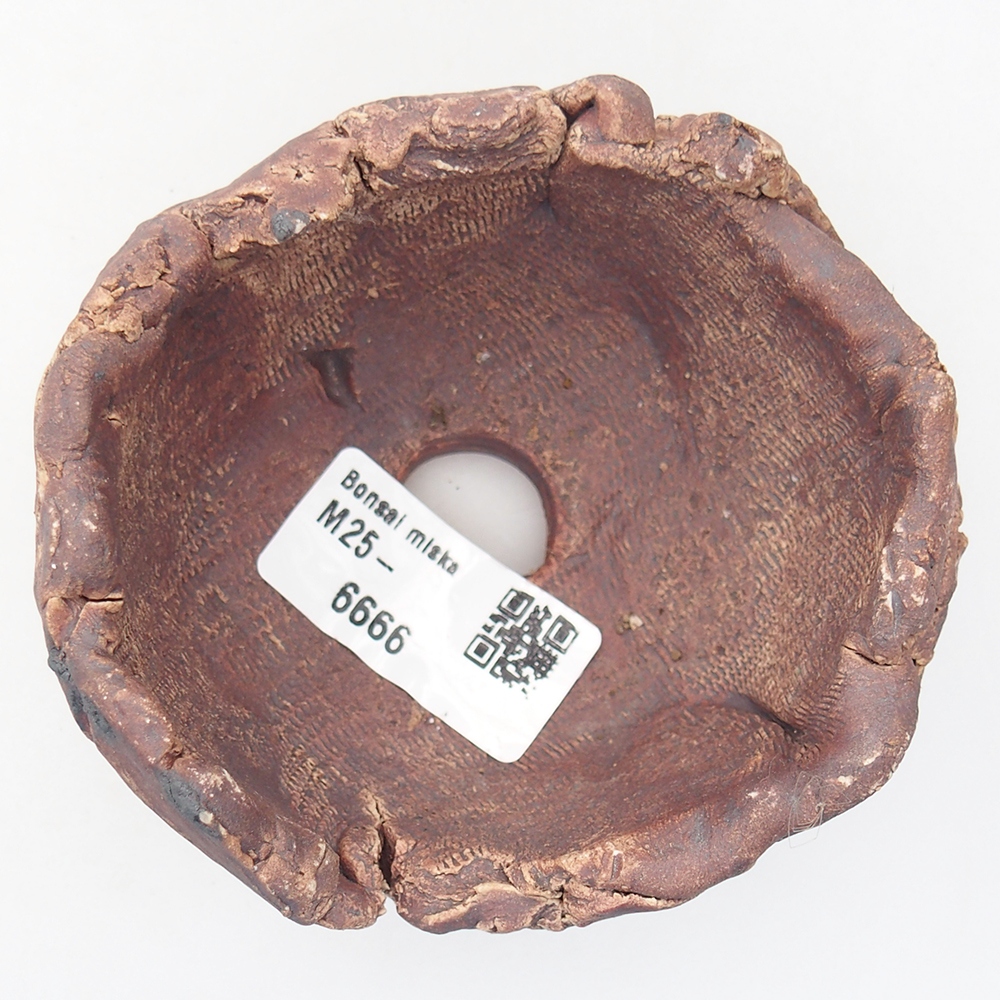 Kerámia kagyló 9 x 8,5 x 6 cm , barna színű