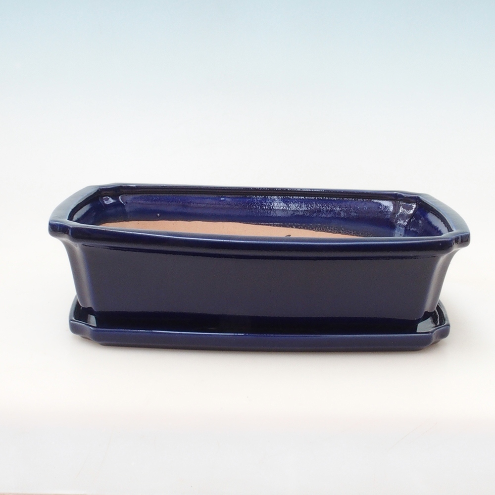 Bonsai tál + csészealj H07 - 30 x 20,5 x 8 cm. - kék