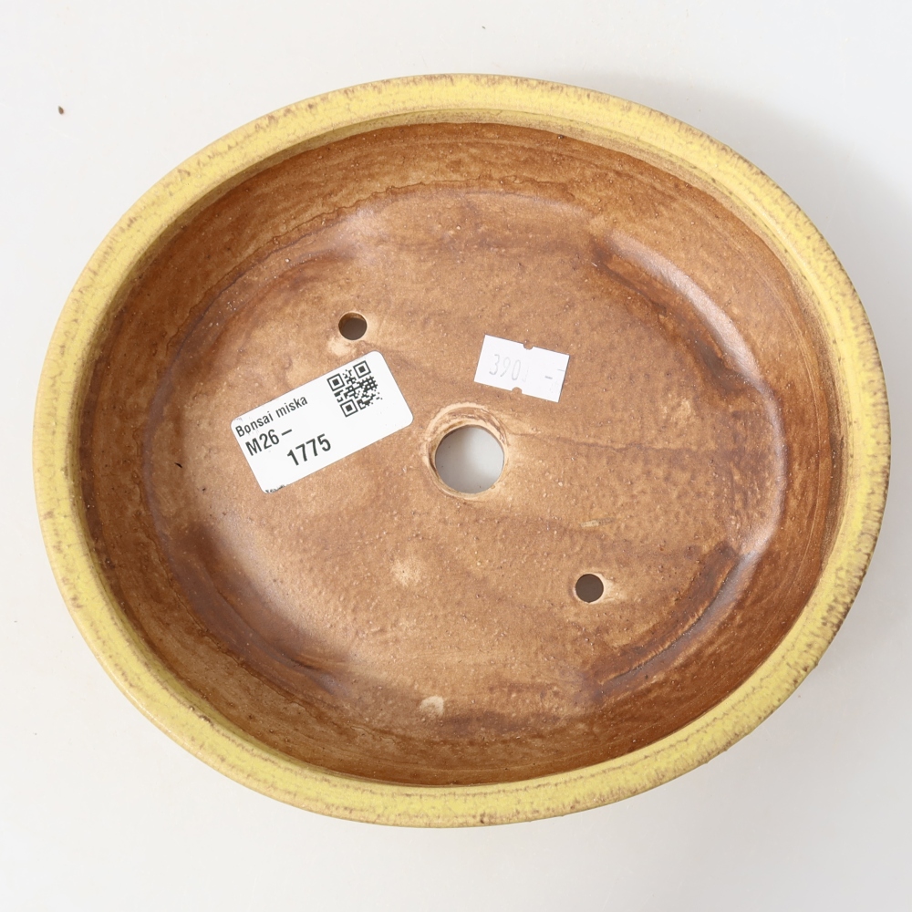 Kerámia bonsai-tál, 18,5 x 16,5 x 4,5 cm, sárga színű