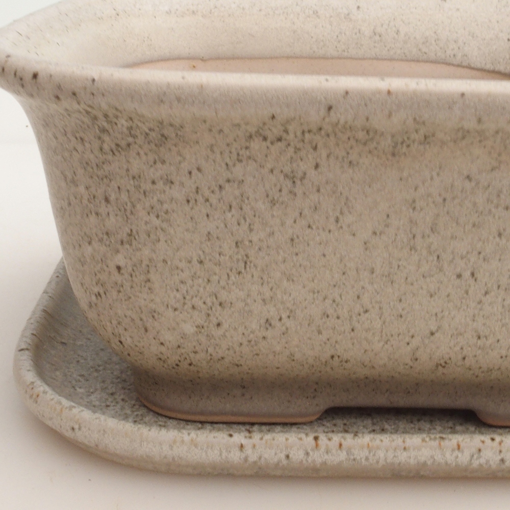 Bonsai tál + csészealj H36 - 17 x 15 x 7,5 cm. - bézs színű