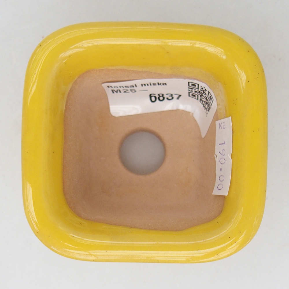 kerámia bonsai tál 6,5 x 6,5 x 5 cm, sárga