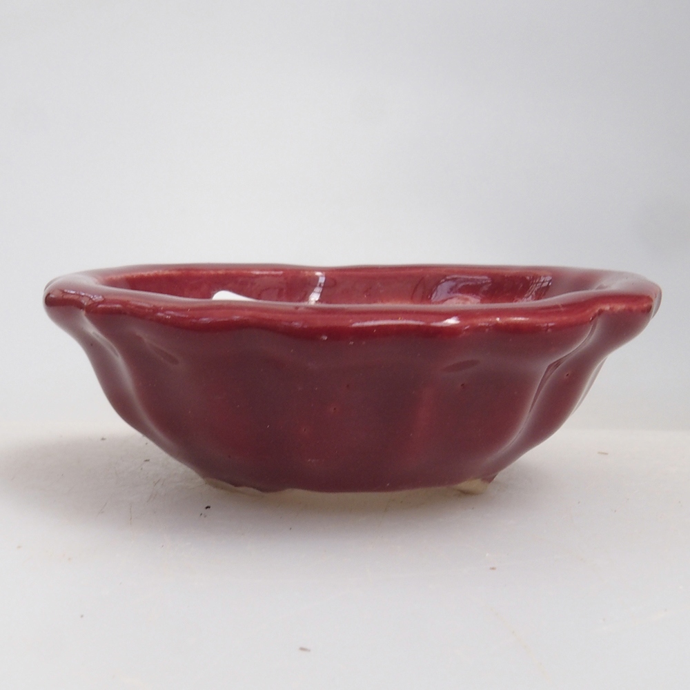 Mini bonsai tál 5 x 5 x 1,5 cm, bordó színben