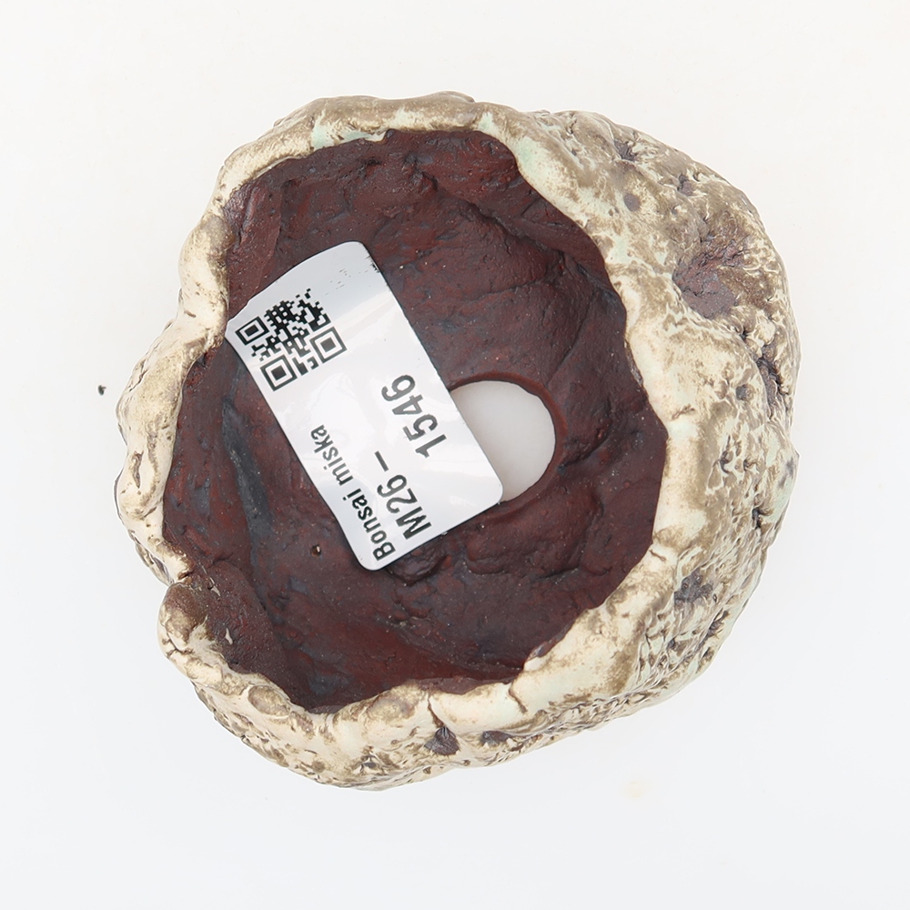 Kerámia héj  7 x 6 x 6 cm, barna-fehér színű