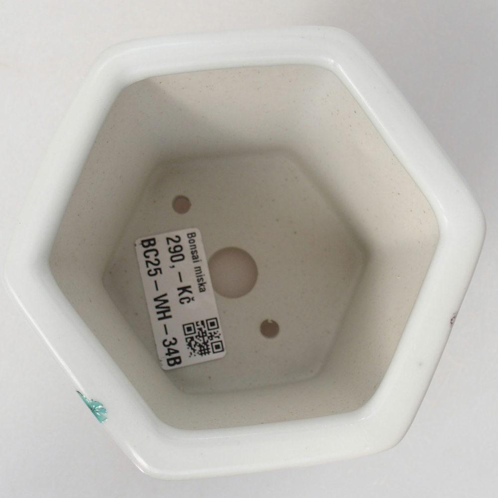 kerámia bonsai tál 10,5 x 9,5 x 9 cm, fehér színben