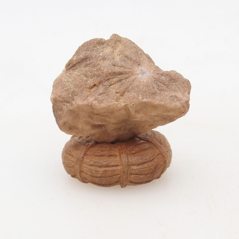 Suiseki - Kő DAI-val (fa alapon)