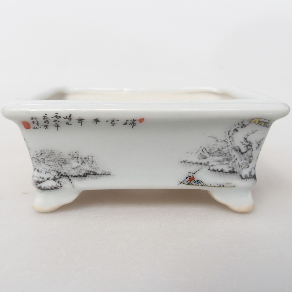 Mini bonsai tál 8 x 6 x 3 cm, fehér