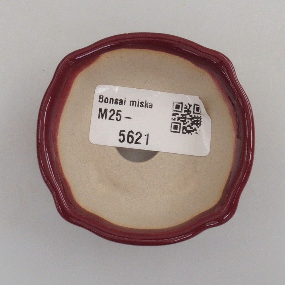 Mini bonsai tál 6 x 6 x 2,5 cm, bordó színű