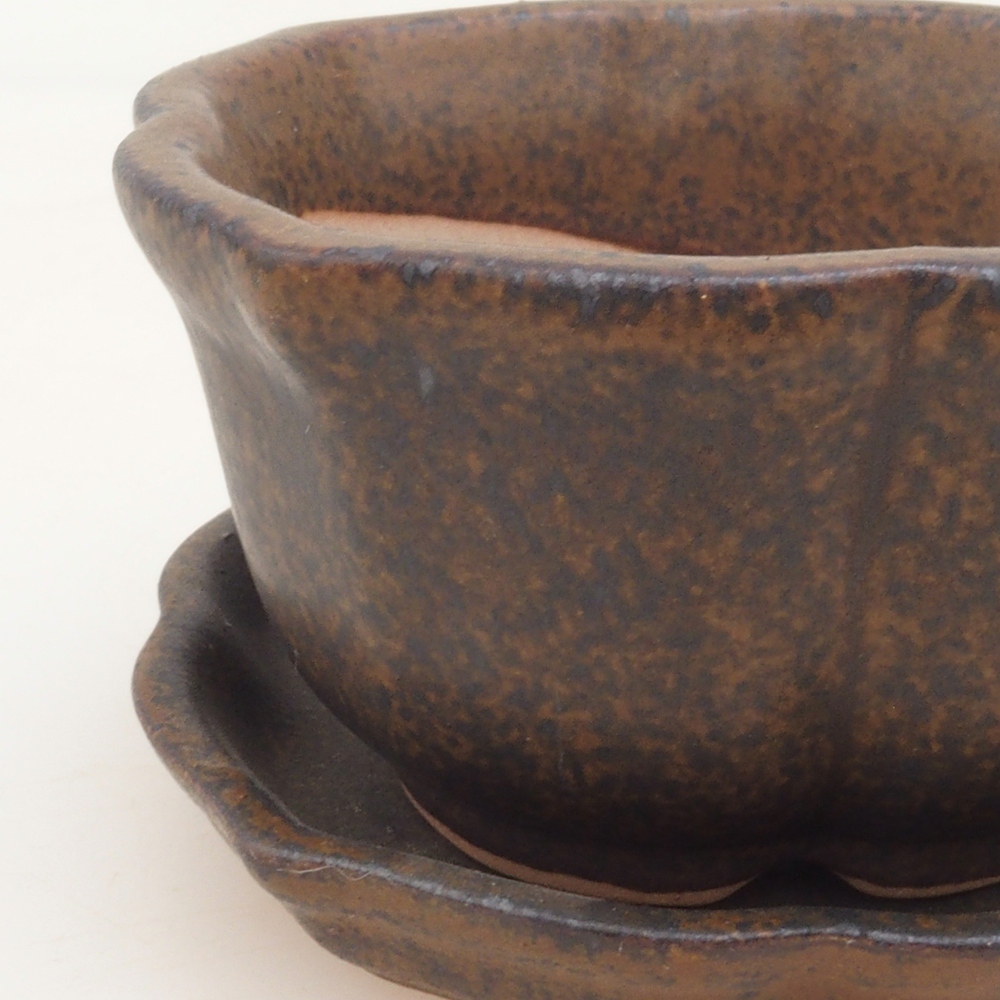 Bonsai tál + csészealj H95 - barna