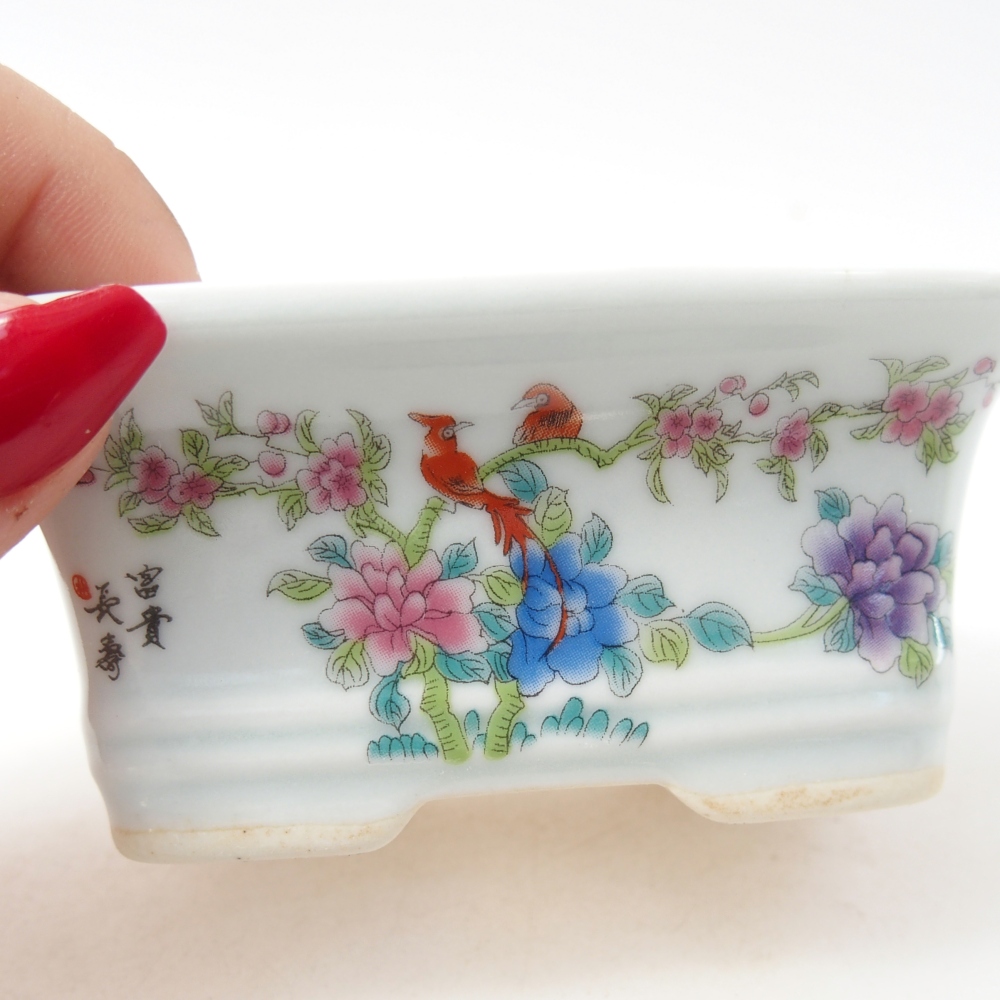 Mini bonsai tál 10 x 7,5 x 4 cm, fehér színben